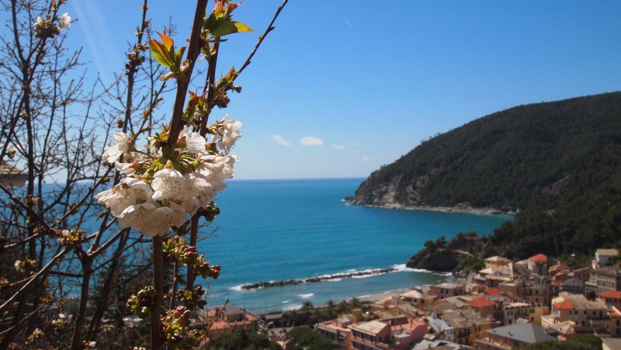 Piccolo Hotel Moneglia Bagian luar foto
